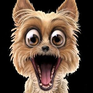 Meet your Posher, Billy